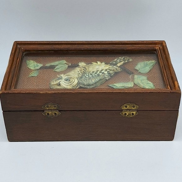 Vintage‎ Wood Box with Realistic Owl Behind Glass - Picture 5 of 7